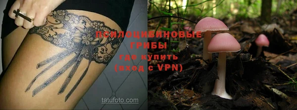 шишки Балахна