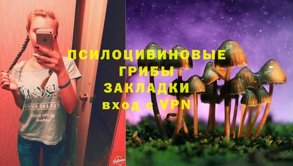 шишки Балахна