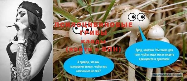 apvp Балабаново