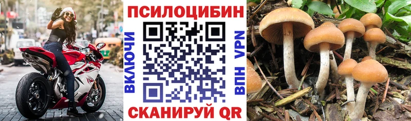 Псилоцибиновые грибы GOLDEN TEACHER Нижний Ломов