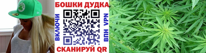 Бошки Шишки гибрид  Нижний Ломов 